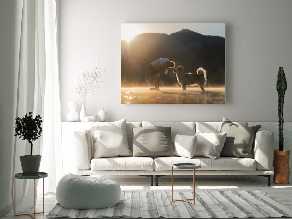 Hell und gemütlich eingerichtetes Wohnzimmer mit grossen Wandbild von Hund und Frauchen über dem Sofa