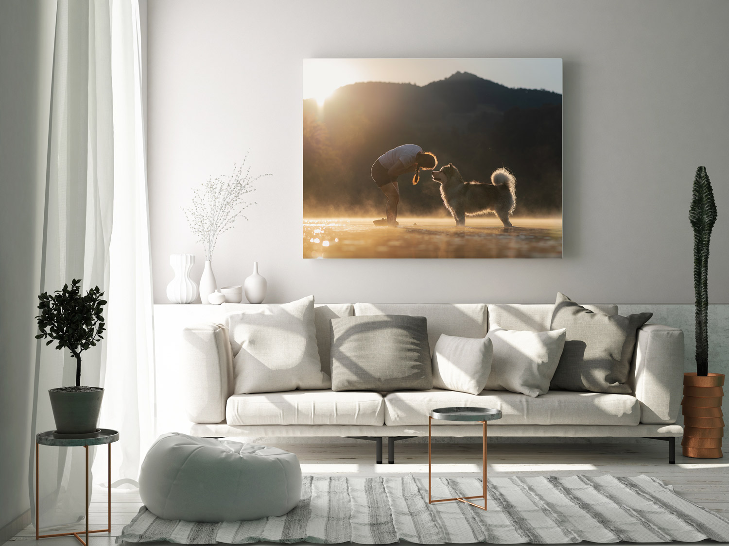 Mehr über den Artikel erfahren Hundefotos stilvoll präsentieren: Dein Guide für Wandbilder, Aufsteller & Co.