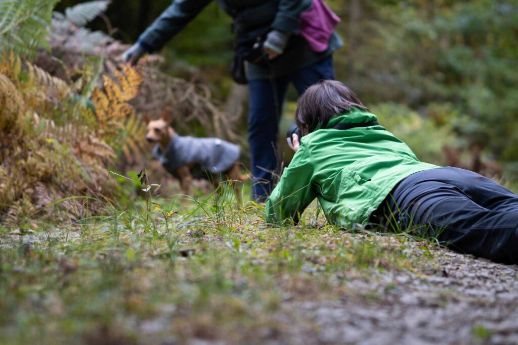 behind the scene bild eines fotoshootings mit hund