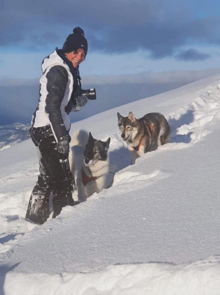 hundefotografin und ihre hunde im schnee