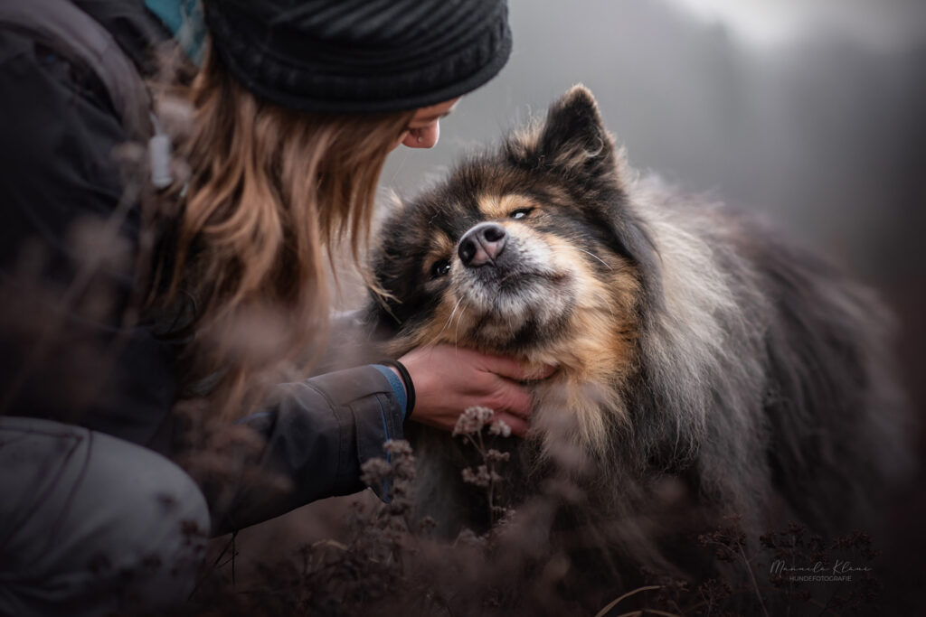 Besitzerin krault ihren Hundesenior, der diese Zärtlichkeit geniesst