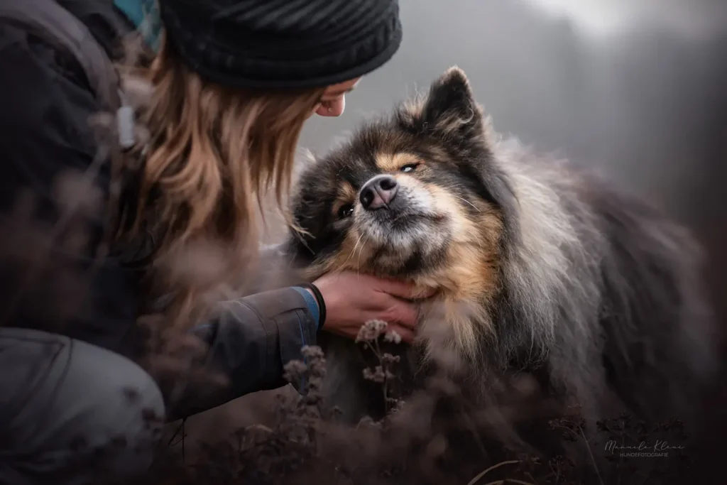 Inniger Moment zwischen Hund und Besitzerin – Eurasier lehnt sich vertrauensvoll an ihre Hand