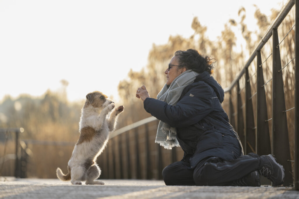 Frau und Hund machen beim Shooting Lieblingstrick Männchen