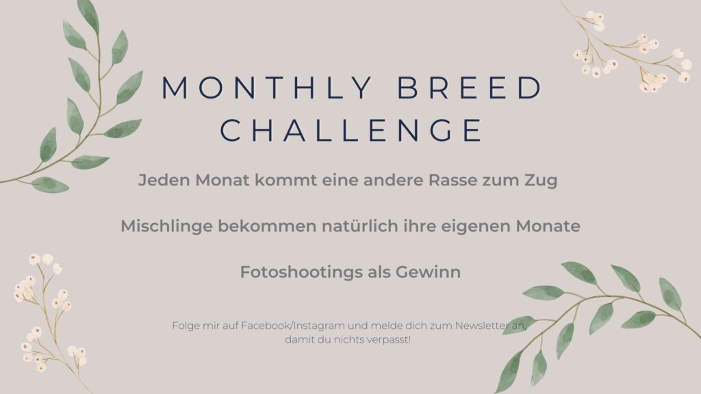 Monatliche Challenge für Hunderassen