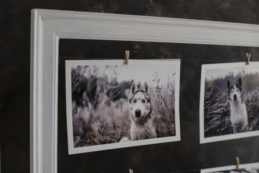 DIY Bilderrahmen für Hundefotos