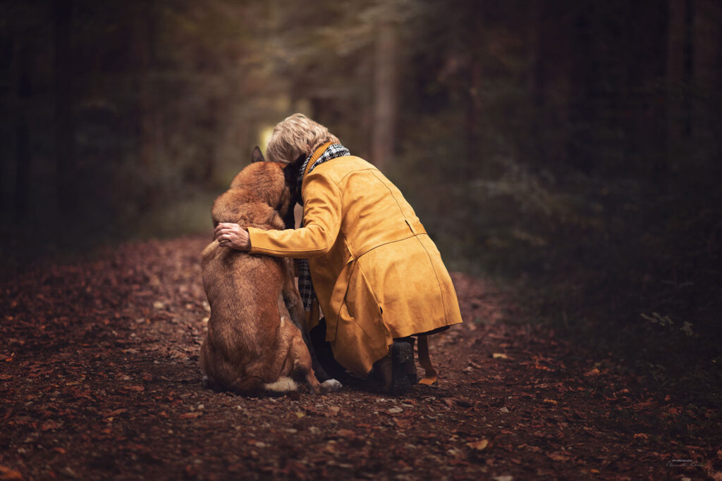 Stille Abschiedsszene mit Malinois – Regenbogenshooting im Herbstwald