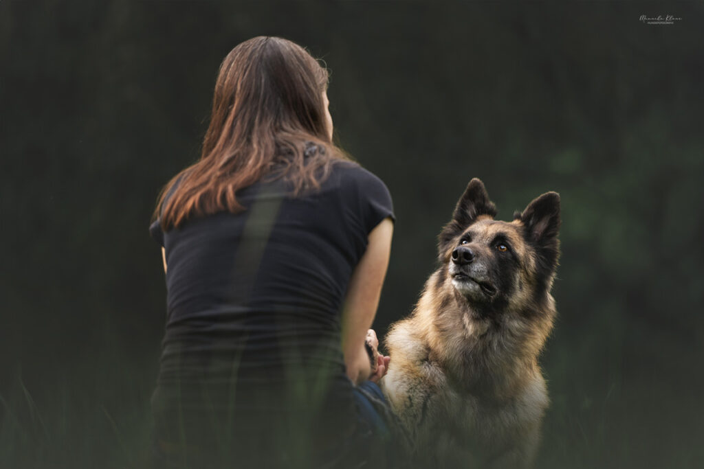 Blick ueber die Schulter der besitzerin auf den Tervueren, der sie anschaut