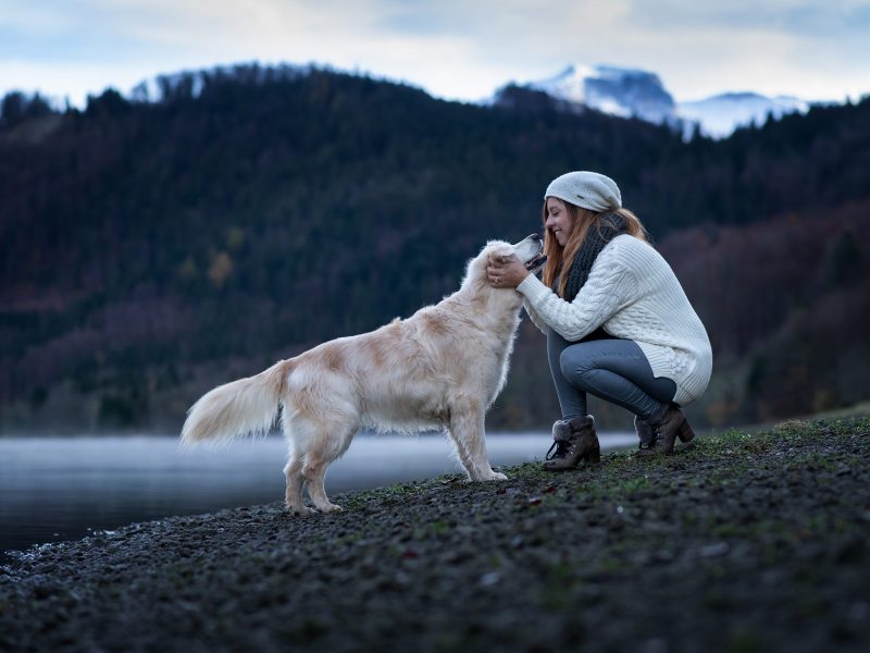 Fotoshooting mit Hund und Besitzerin am Seeufer