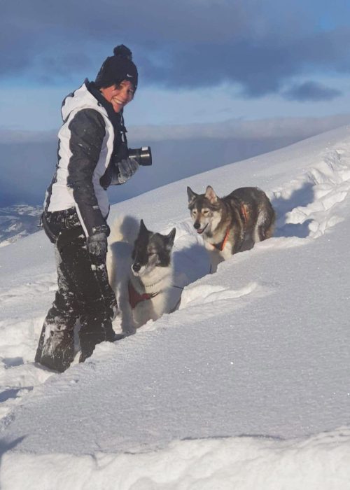 hundefotografin und ihre hunde im schnee