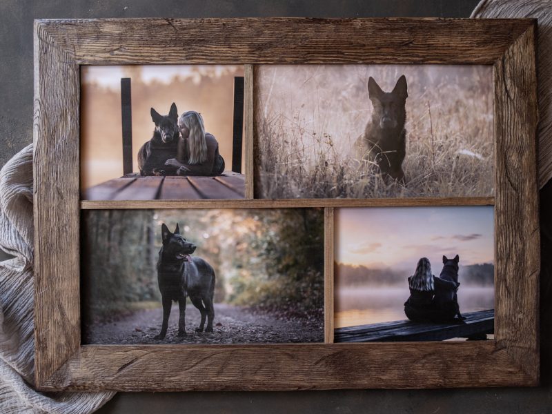 Galerierahmen aus Altholz für Hundefotos
