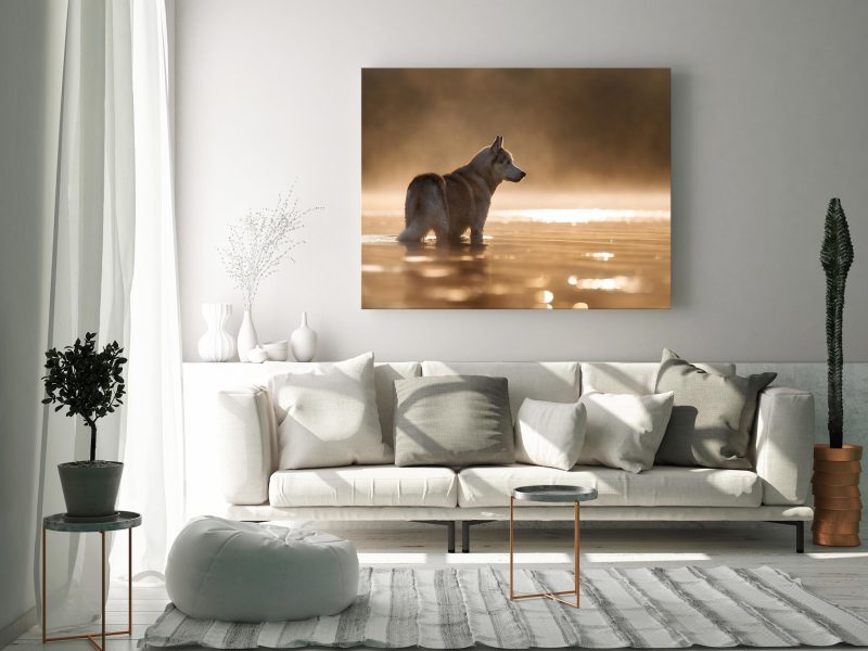 Wohnzimmer mit einem riesigen Bild über dem Sofa. darauf zu sehen ein Husky im von der Sonne gold gefärbtem Wasser